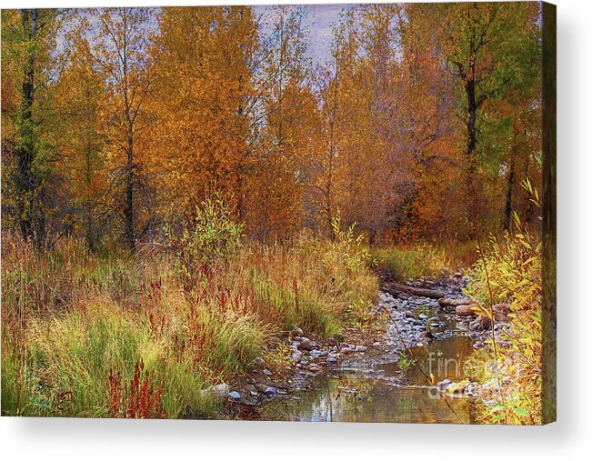 Gros Ventre Acrylic Print featuring the photograph Gros Ventre Area by Lynn Sprowl