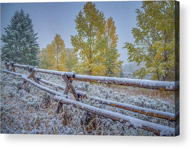 Adventure Acrylic Print featuring the photograph Gros Ventre Grand Teton Fall Snowfall Fence by Scott McGuire