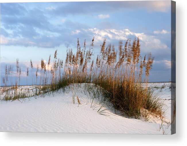 Alabama Acrylic Print featuring the photograph Gulf Dunes by Eric Foltz
