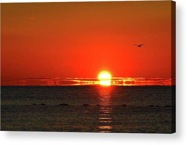 Abstract Acrylic Print featuring the digital art Gull At Sunrise Two by Lyle Crump