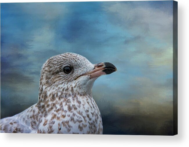 Gull Acrylic Print featuring the photograph Gull Profile by Cathy Kovarik