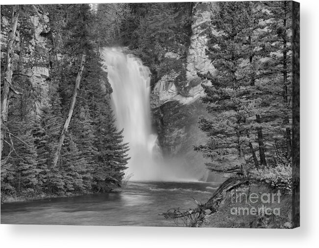 Trick Falls Acrylic Print featuring the photograph Gushing In The Spring At Trick Falls Black And White by Adam Jewell