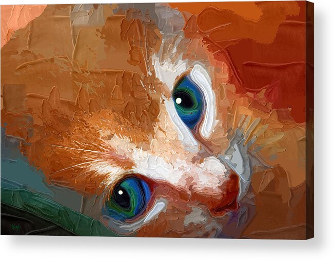 Kitten Acrylic Print featuring the digital art Gussy by Holly Ethan