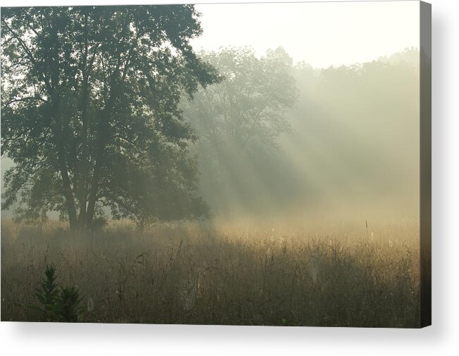 Sunrise Acrylic Print featuring the photograph Guten Morgen by Heidi Poulin