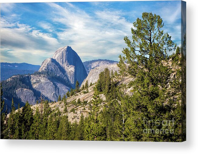 Yosemite Acrylic Print featuring the photograph Half Dome And Olmstead Point by Mimi Ditchie