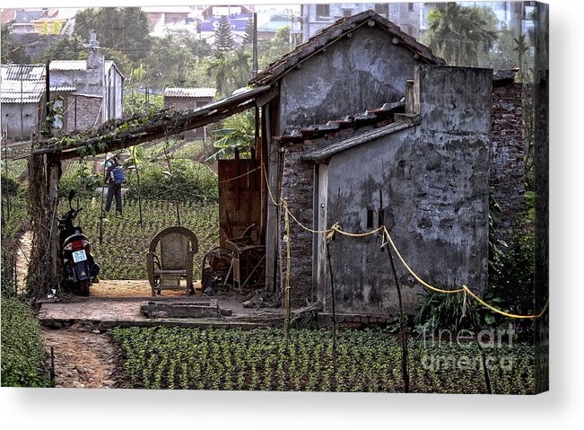 Vietnam Acrylic Print featuring the photograph Hanoi Living by Chuck Kuhn