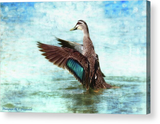 Duck Photography Acrylic Print featuring the digital art Happy duck 06 by Kevin Chippindall