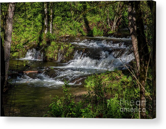 Water Acrylic Print featuring the photograph Happy Splashing by Kathy McClure