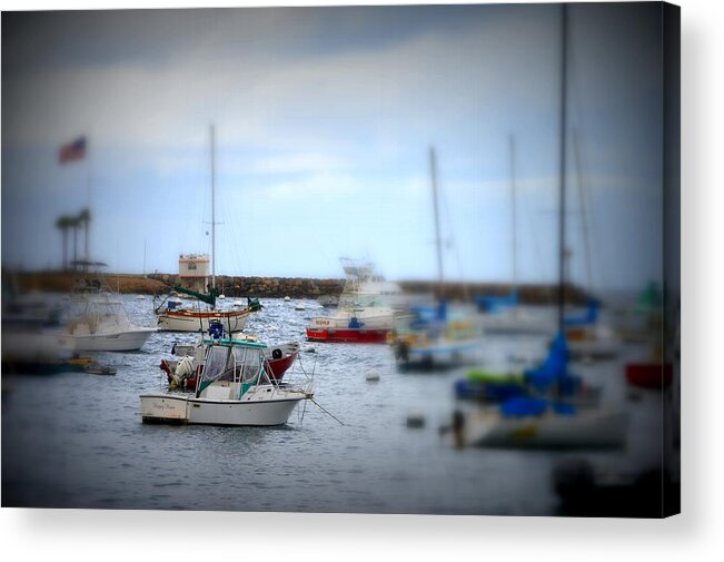 Sailboats Acrylic Print featuring the photograph Harbour Boats by Bill Hamilton