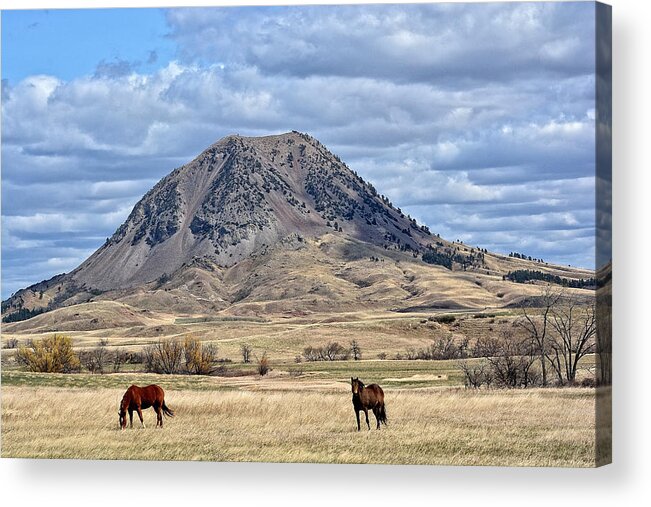 Landscape Acrylic Print featuring the photograph Harmony by Fiskr Larsen