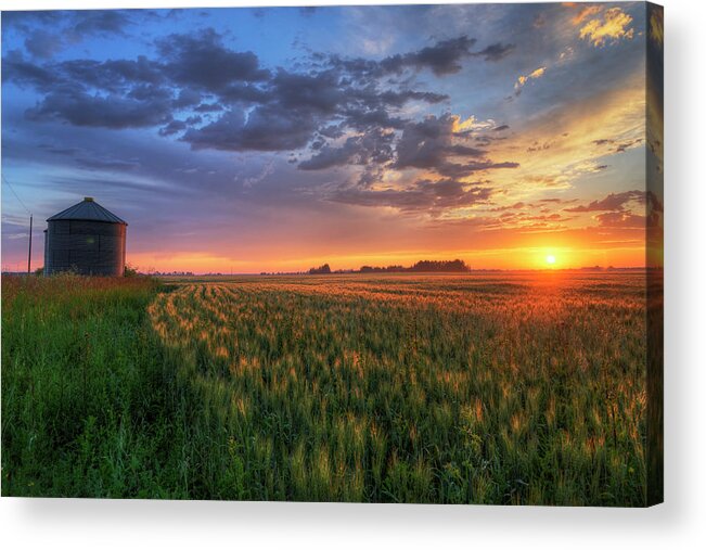 Harvest Acrylic Print featuring the photograph Harvest by Dan Jurak