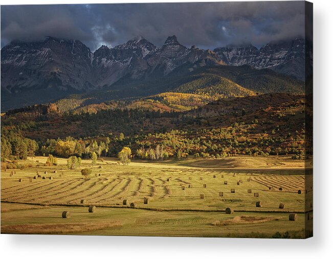 Colorado Acrylic Print featuring the photograph Harvest by Jared Perry