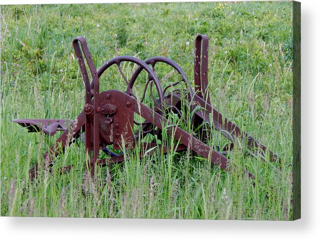 Spring Acrylic Print featuring the photograph Have a Seat by Wild Thing