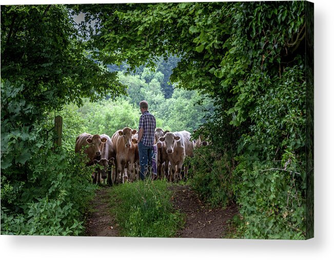 Field Acrylic Print featuring the photograph Heading Home by W Chris Fooshee