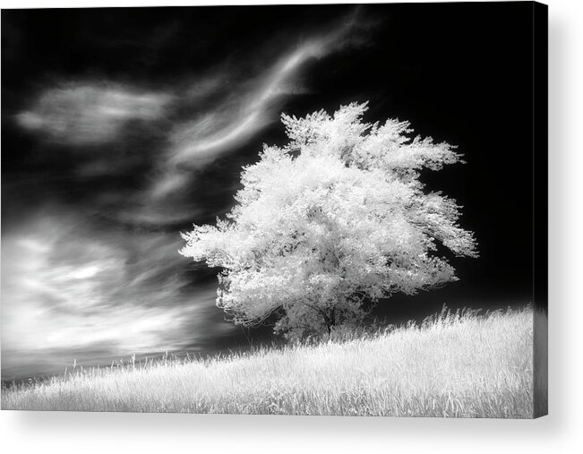 High Key Acrylic Print featuring the photograph Heavenly Places by Dan Jurak