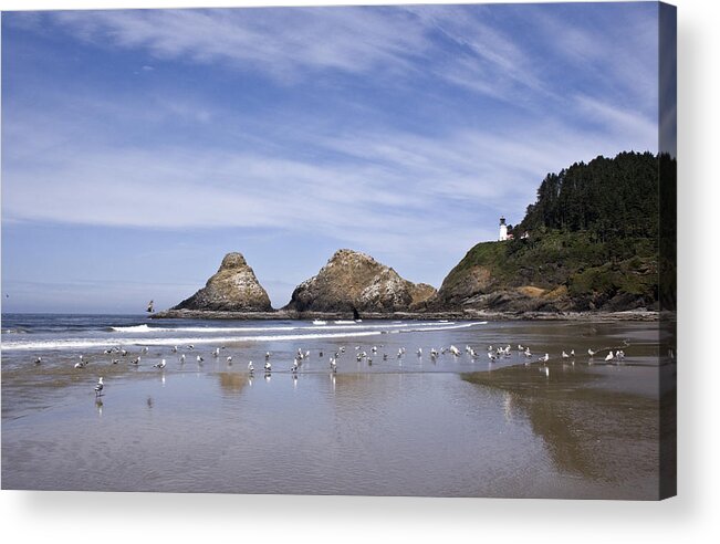 Landscape Acrylic Print featuring the photograph Heceta Head Lighthouse 1 by Lee Santa