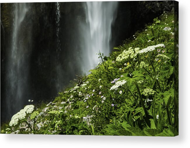 Waterfall Acrylic Print featuring the photograph Hidden Waterfall by Doug Scrima
