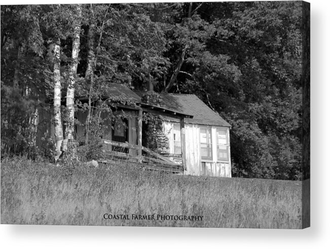 Cabin Acrylic Print featuring the photograph Hiding by Becca Wilcox