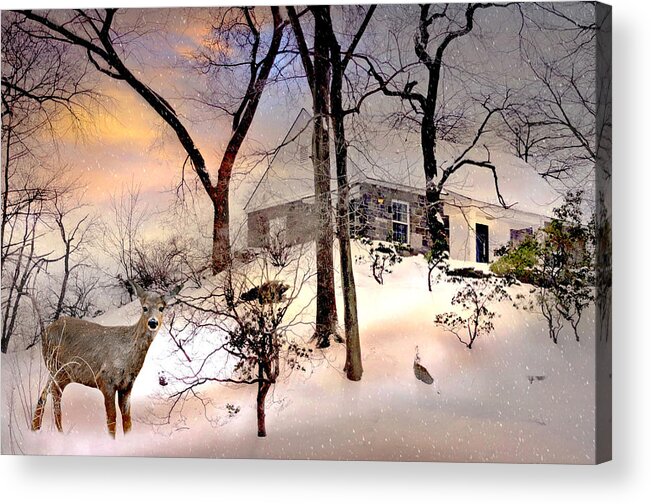 Winter Snow Landscape Acrylic Print featuring the photograph The Wish #1 by Diana Angstadt