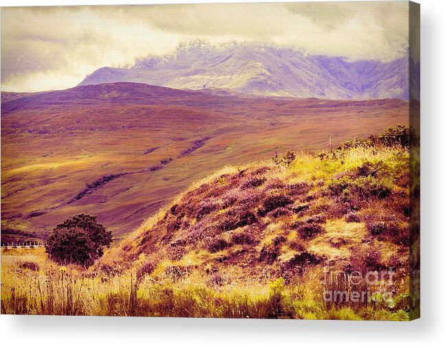 Scottish Acrylic Print featuring the photograph Highland Landscape by Diane Macdonald