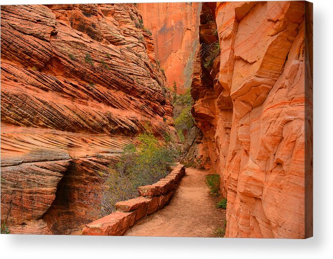 Hike To Observation Point In Zion National Park Acrylic Print featuring the photograph Hike to Observation Point by Raymond Salani III
