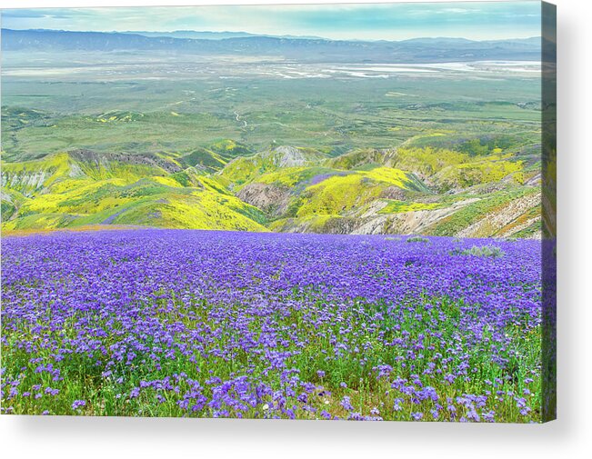 California Acrylic Print featuring the photograph Hike To The Top of Temblor Range by Marc Crumpler