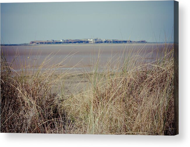 Spartina Acrylic Print featuring the photograph Hilbre Island through the grass by Spikey Mouse Photography