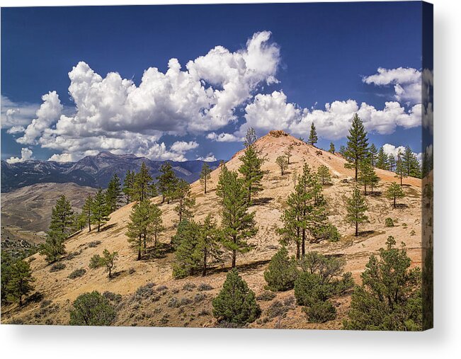Mt Acrylic Print featuring the photograph Hills below Virginia City, Nevada by Steve Ellison