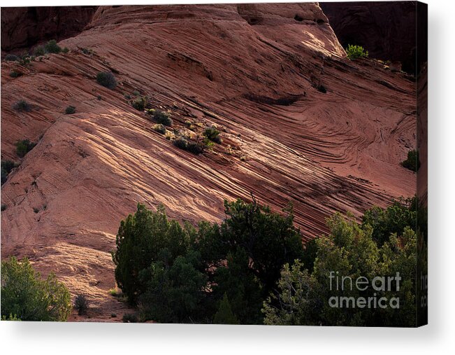 Utah Acrylic Print featuring the photograph Splashes of Sunlight by Jim Garrison