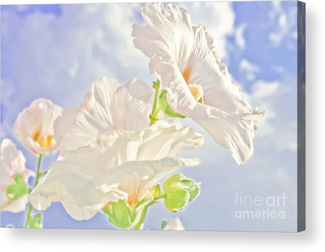 Flowers Acrylic Print featuring the photograph Hollyhocks And Sky by Barbara Dean