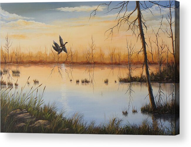 Ducks Acrylic Print featuring the painting Homeward Bound by Paul Jefferson