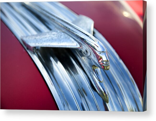 Hood Ornament Acrylic Print featuring the photograph Hoodie by CA Johnson