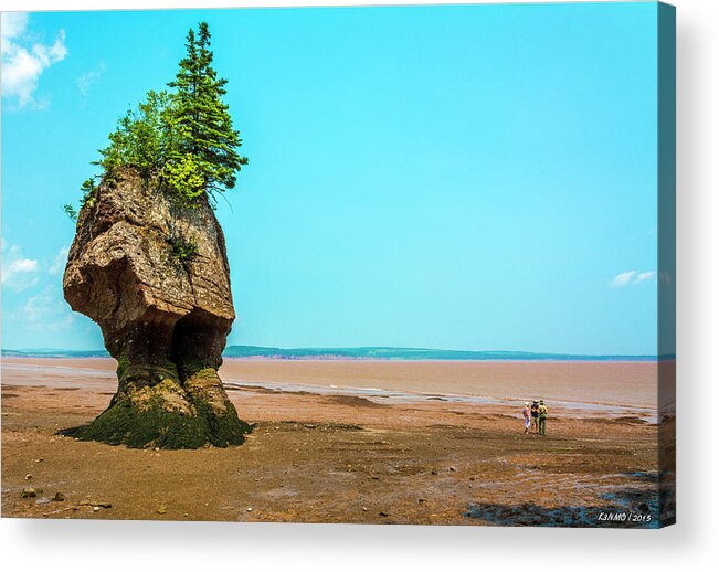 Albert County Acrylic Print featuring the digital art Hopewell Rocks in New Brunswick - Canada by Ken Morris