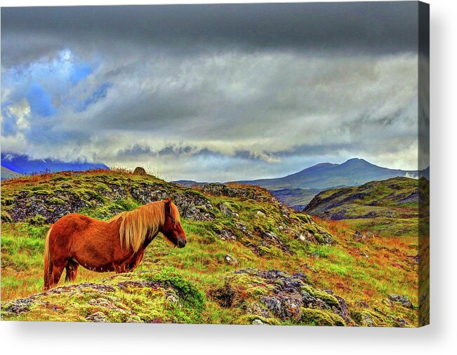 Photography Acrylic Print featuring the photograph Horse and Mountains by Scott Mahon