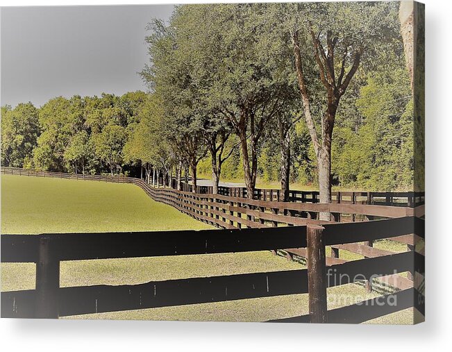 Landscape Acrylic Print featuring the photograph Horse Farm by Carol Riddle