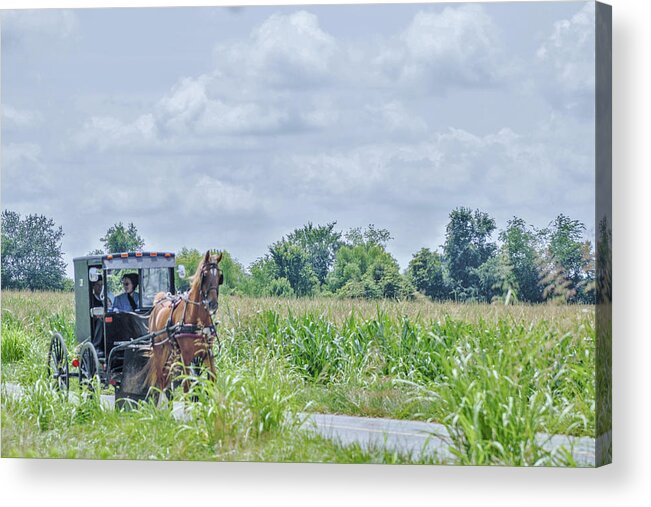Amish Acrylic Print featuring the photograph Horse Power by Chad Fuller