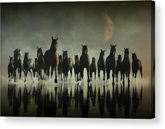 Art Acrylic Print featuring the painting Horse stampede in the sea by Jan Keteleer