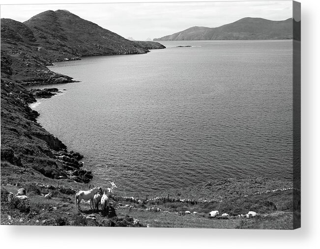 Ireland Acrylic Print featuring the photograph Horseshoe Coast by Aidan Moran