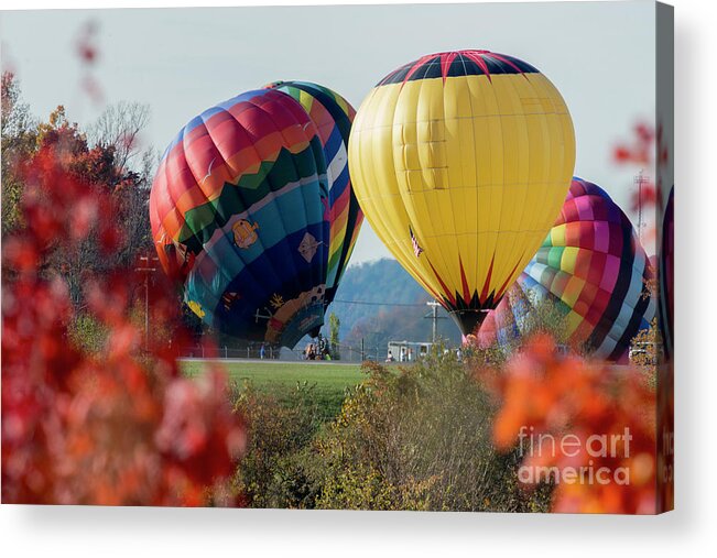 Hot Air Balloons Acrylic Print featuring the photograph Hot air balloons lift off by Dan Friend