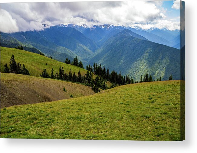 Adventure Acrylic Print featuring the photograph Hurricane Ridge Green Fields and Blue Mountains by Roslyn Wilkins