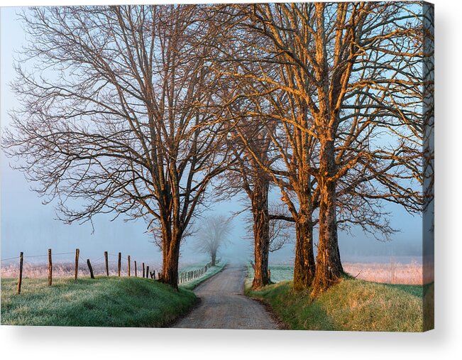 Road Acrylic Print featuring the photograph Hyatt Lane by Joseph Rossbach