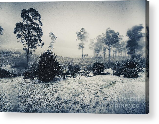 Australian Acrylic Print featuring the photograph Ice cold winter background by Jorgo Photography