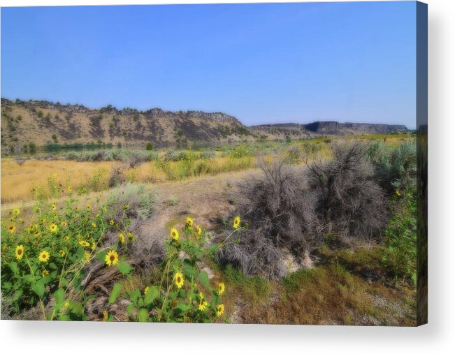 Idaho Acrylic Print featuring the photograph Idaho Landscape by Bonnie Bruno