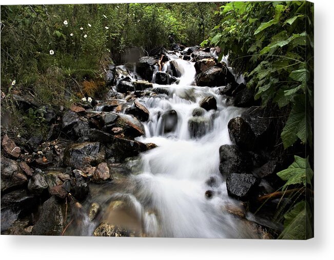 Streams Acrylic Print featuring the photograph If I were a Painting by Taylor Howe