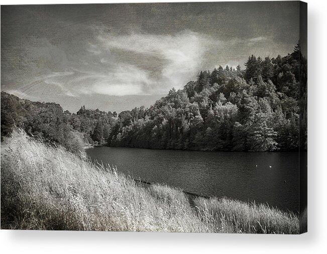 Phoenix Lake Acrylic Print featuring the photograph If It's Not Too Late by Laurie Search