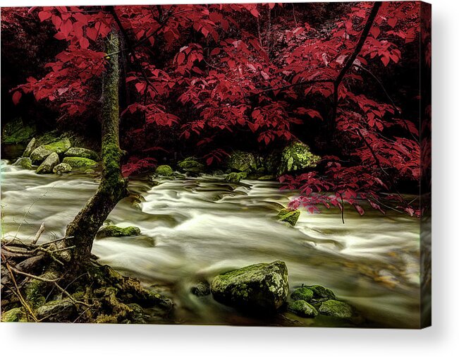 Tennessee Stream Acrylic Print featuring the photograph I'll Wait For Your Return by Mike Eingle
