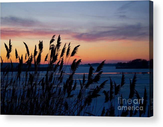 Sunset Acrylic Print featuring the photograph Illinois River Winter Sunset by Paula Guttilla
