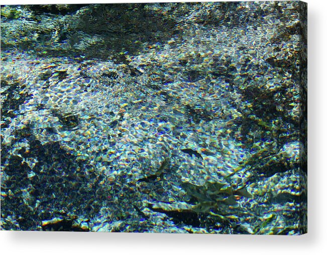 Spring Acrylic Print featuring the photograph Impression of Cannon Springs by Paul Rebmann