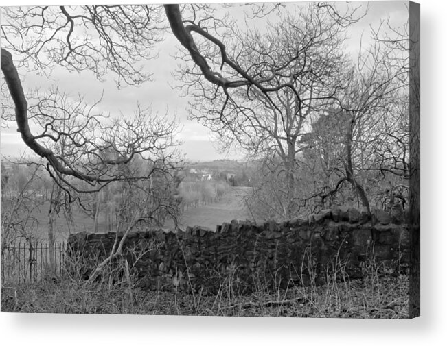 Bare Tree Acrylic Print featuring the photograph In December. by Elena Perelman