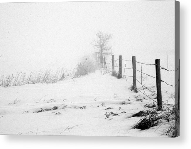 Landscape Acrylic Print featuring the photograph In Defense of Snow by Julie Lueders 